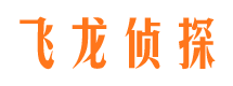 新田私人侦探